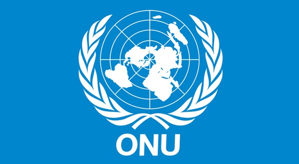 Organisation des Nations Unies